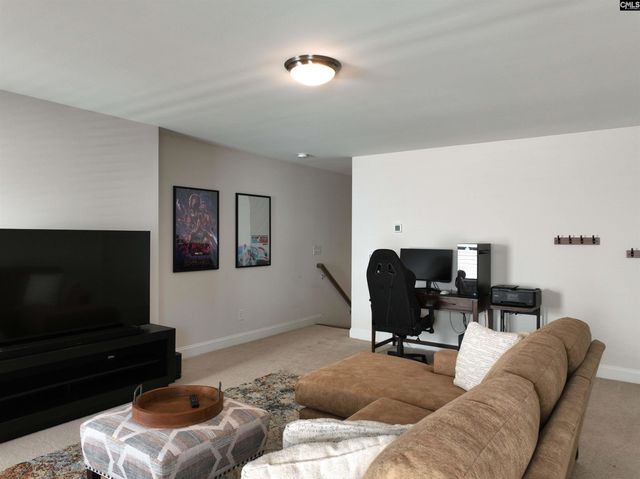 218 Chapin Brooke Court, Chapin, SC 29036