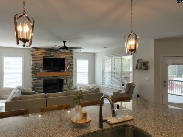 218 Chapin Brooke Court, Chapin, SC 29036