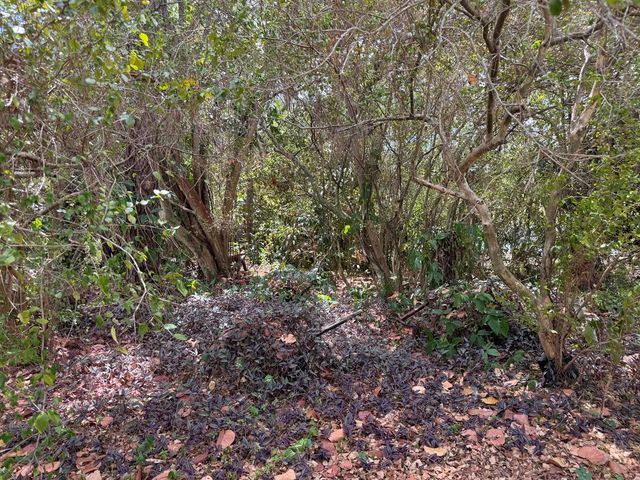 3358 S Jog Road, Greenacres, FL 33467