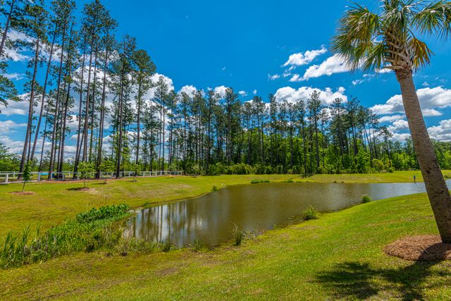 616 Long Meadow Street, Summerville, SC 29486