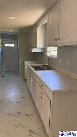 302 McCowns Millpond Rd, Darlington, SC 29532