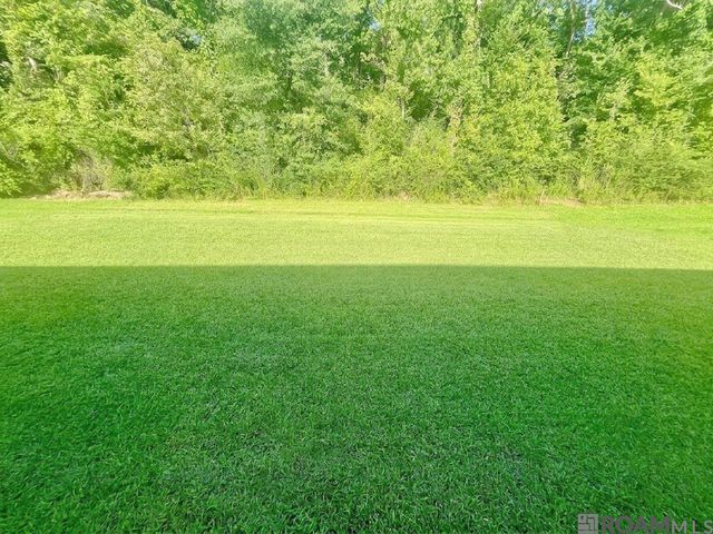 13056 Ducks Landing St, Gonzales, LA 70737