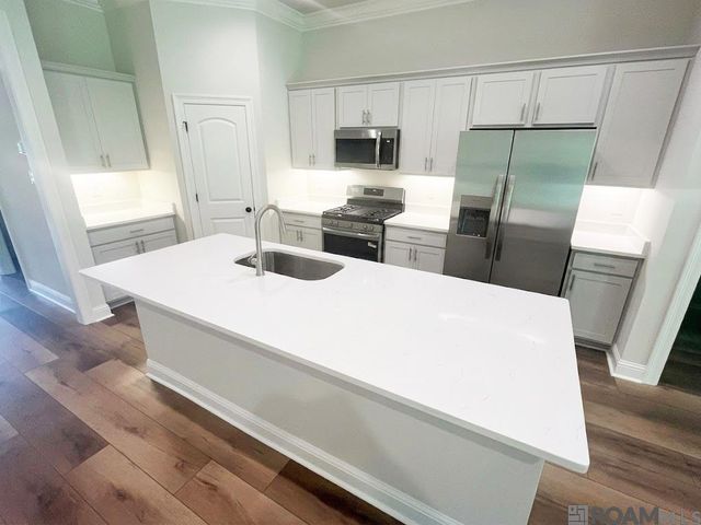13056 Ducks Landing St, Gonzales, LA 70737