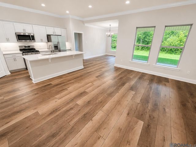 13056 Ducks Landing St, Gonzales, LA 70737