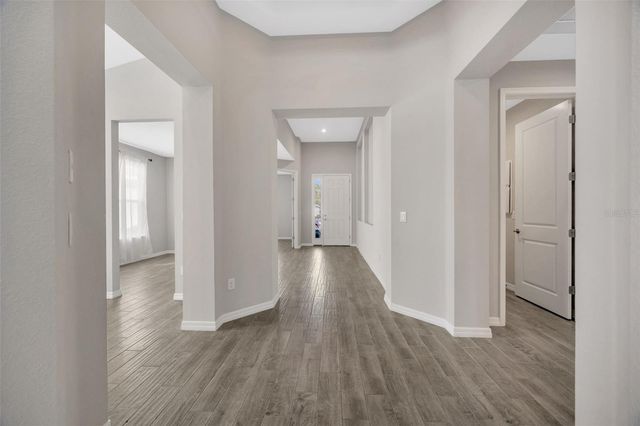 29774 CHAPEL CHASE DRIVE, Wesley Chapel, FL 33545