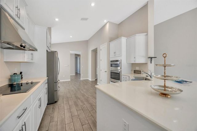 29774 CHAPEL CHASE DRIVE, Wesley Chapel, FL 33545