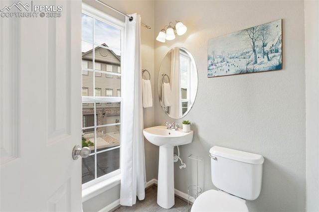 1119 Autumn Star Point, Monument, CO 80132