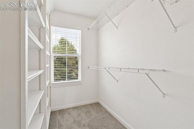 1119 Autumn Star Point, Monument, CO 80132