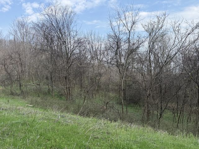 0 Ed Seay Gregory Lane, Hartsville, TN 37074
