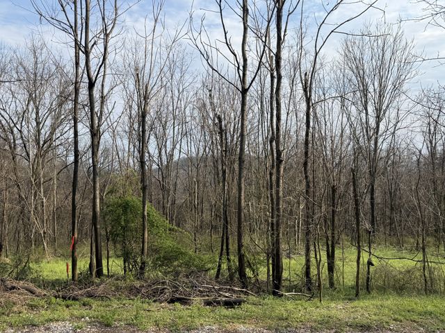 0 Ed Seay Gregory Lane, Hartsville, TN 37074