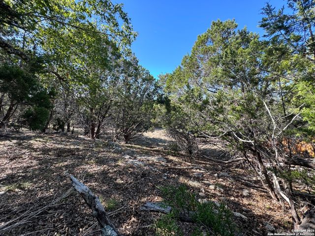 1040 PINON PASS, Fischer, TX 78623