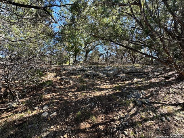1040 PINON PASS, Fischer, TX 78623