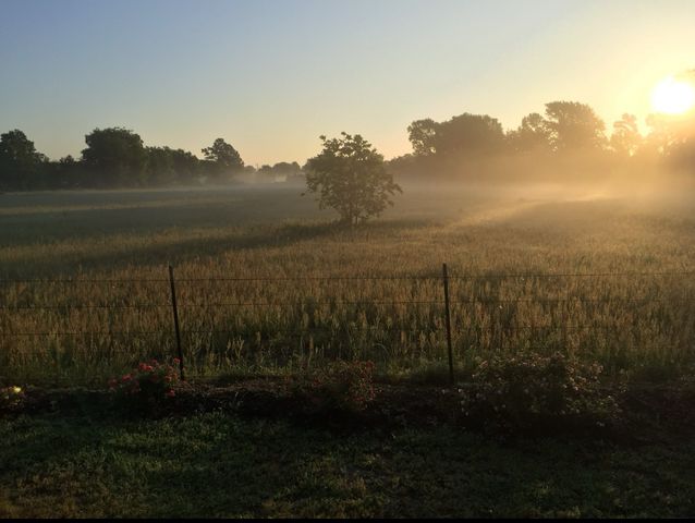 200 Vz County Road 4124, Canton, TX 75103