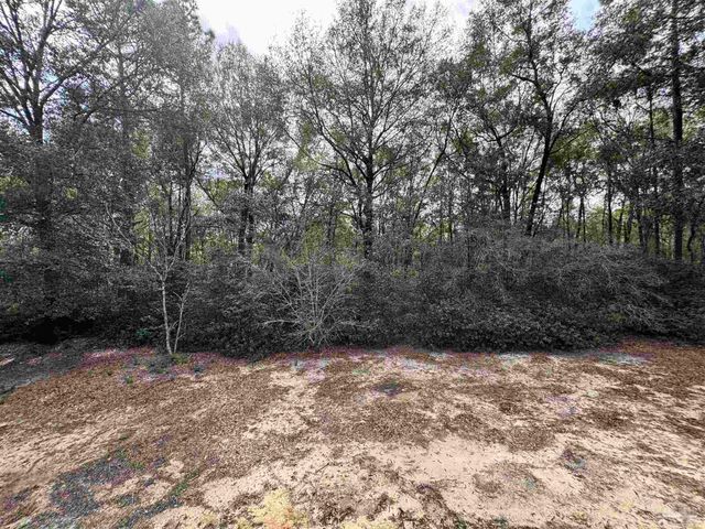 6512 Winston Brown Rd, Milton, FL 32570