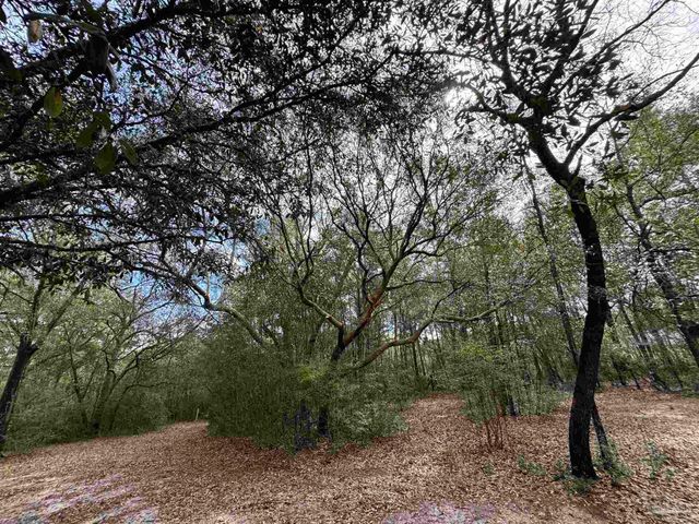 6512 Winston Brown Rd, Milton, FL 32570