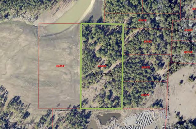 0 Eldridge Road, Coldspring, TX 77331