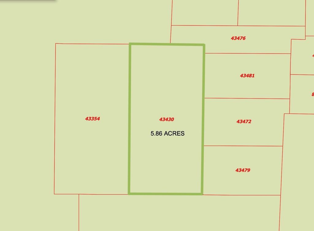 0 Eldridge Road, Coldspring, TX 77331