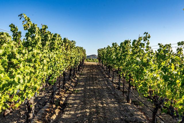 1095 Hardman Ave, Napa, CA 94558