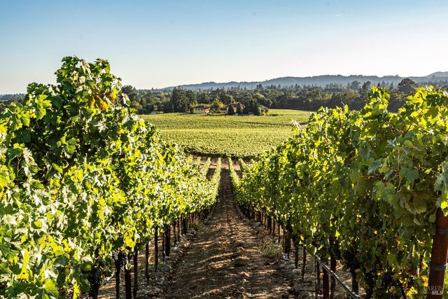 1095 Hardman Ave, Napa, CA 94558