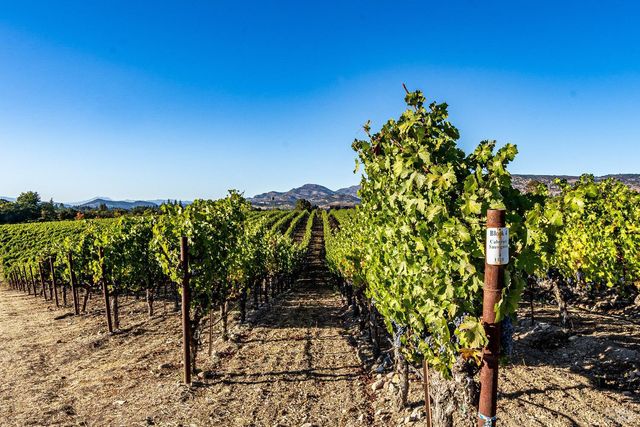 1095 Hardman Ave, Napa, CA 94558