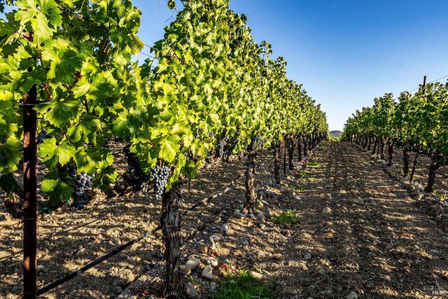 1095 Hardman Ave, Napa, CA 94558