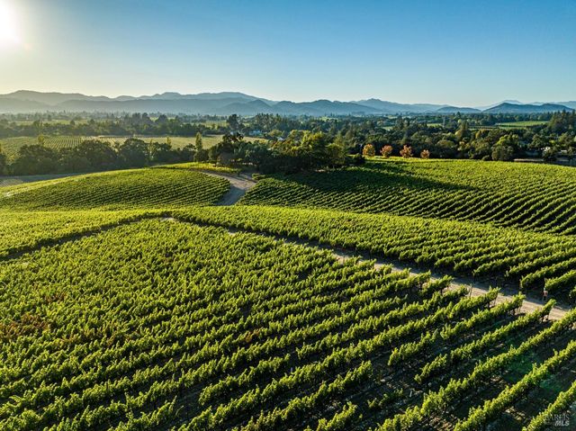 1095 Hardman Ave, Napa, CA 94558