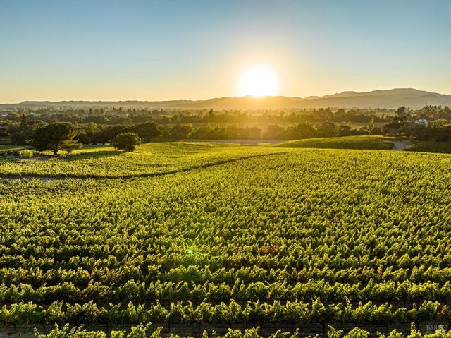 1095 Hardman Ave, Napa, CA 94558