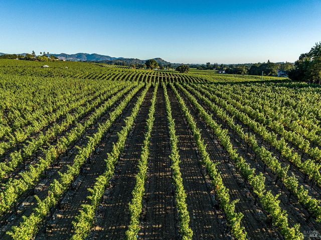 1095 Hardman Ave, Napa, CA 94558