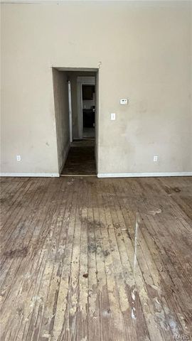 329 N 9th Street, Belleville, IL 62220