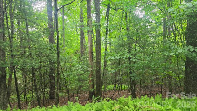 TBD Wingfield Way, Brevard, NC 28712