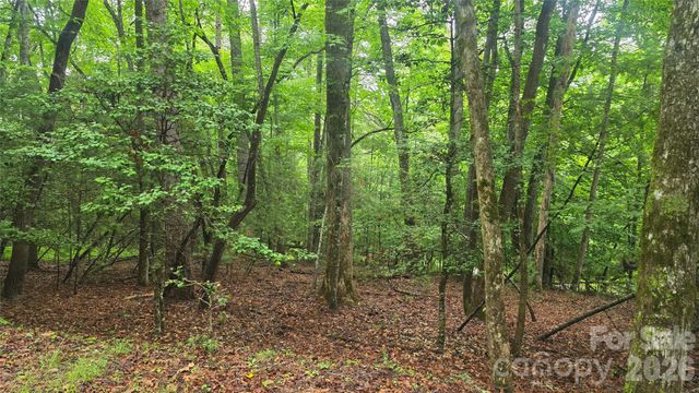 TBD Wingfield Way, Brevard, NC 28712
