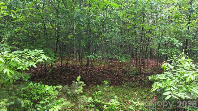 TBD Wingfield Way, Brevard, NC 28712