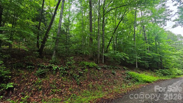TBD Wingfield Way, Brevard, NC 28712