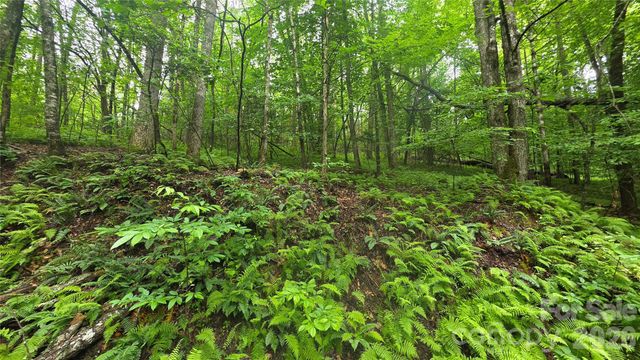 TBD Wingfield Way, Brevard, NC 28712