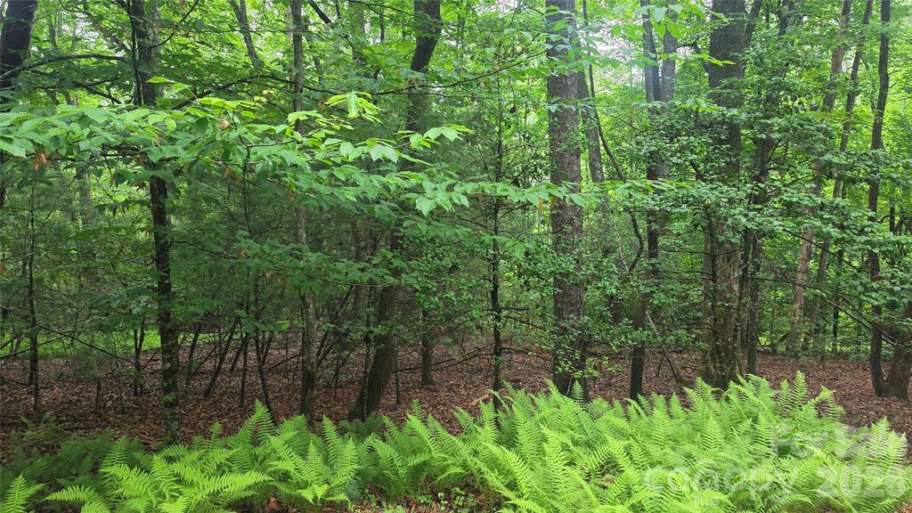 TBD Wingfield Way, Brevard, NC 28712