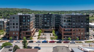 20 Wilcox Street 314, Castle Rock, CO 80104