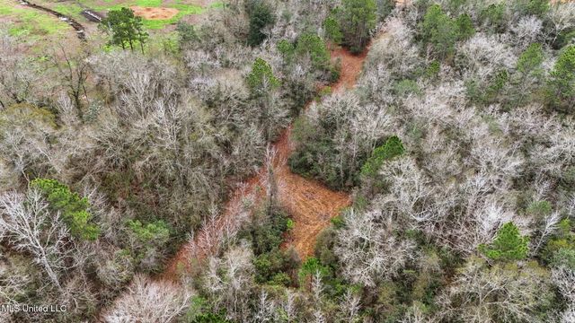 Saracennia Road, Moss Point, MS 39562