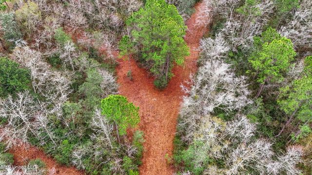 Saracennia Road, Moss Point, MS 39562
