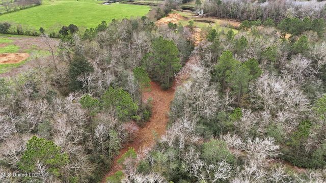 Saracennia Road, Moss Point, MS 39562