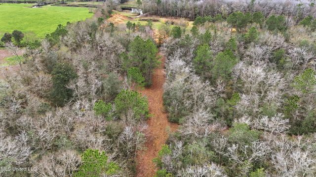 Saracennia Road, Moss Point, MS 39562