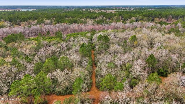 Saracennia Road, Moss Point, MS 39562