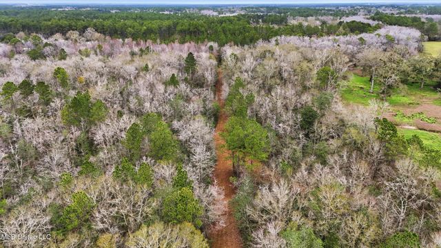 Saracennia Road, Moss Point, MS 39562