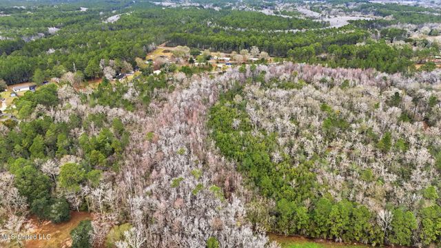 Saracennia Road, Moss Point, MS 39562
