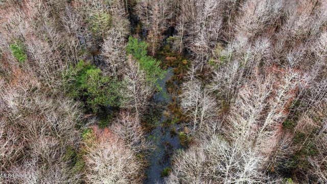 Saracennia Road, Moss Point, MS 39562