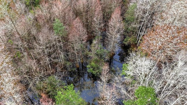 Saracennia Road, Moss Point, MS 39562
