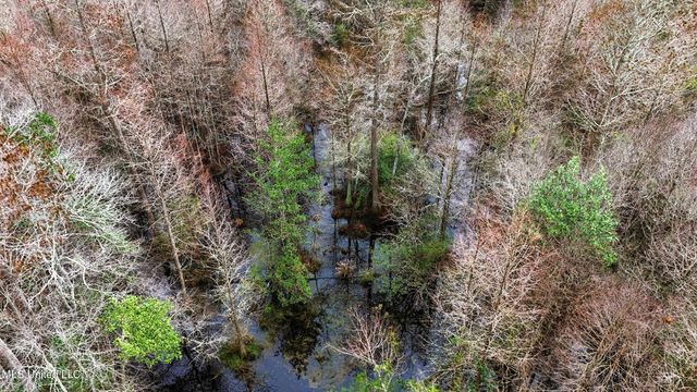 Saracennia Road, Moss Point, MS 39562