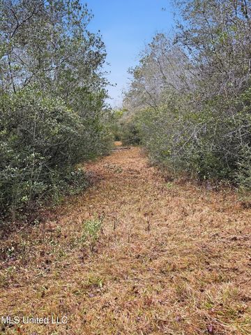 Saracennia Road, Moss Point, MS 39562