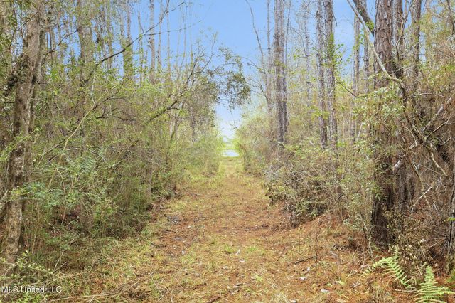 Saracennia Road, Moss Point, MS 39562