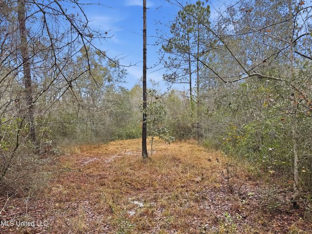 Saracennia Road, Moss Point, MS 39562