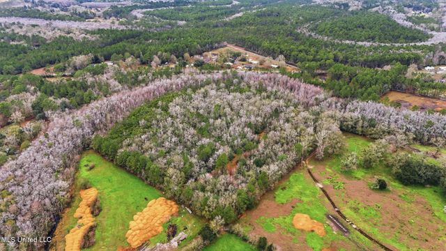 Saracennia Road, Moss Point, MS 39562
